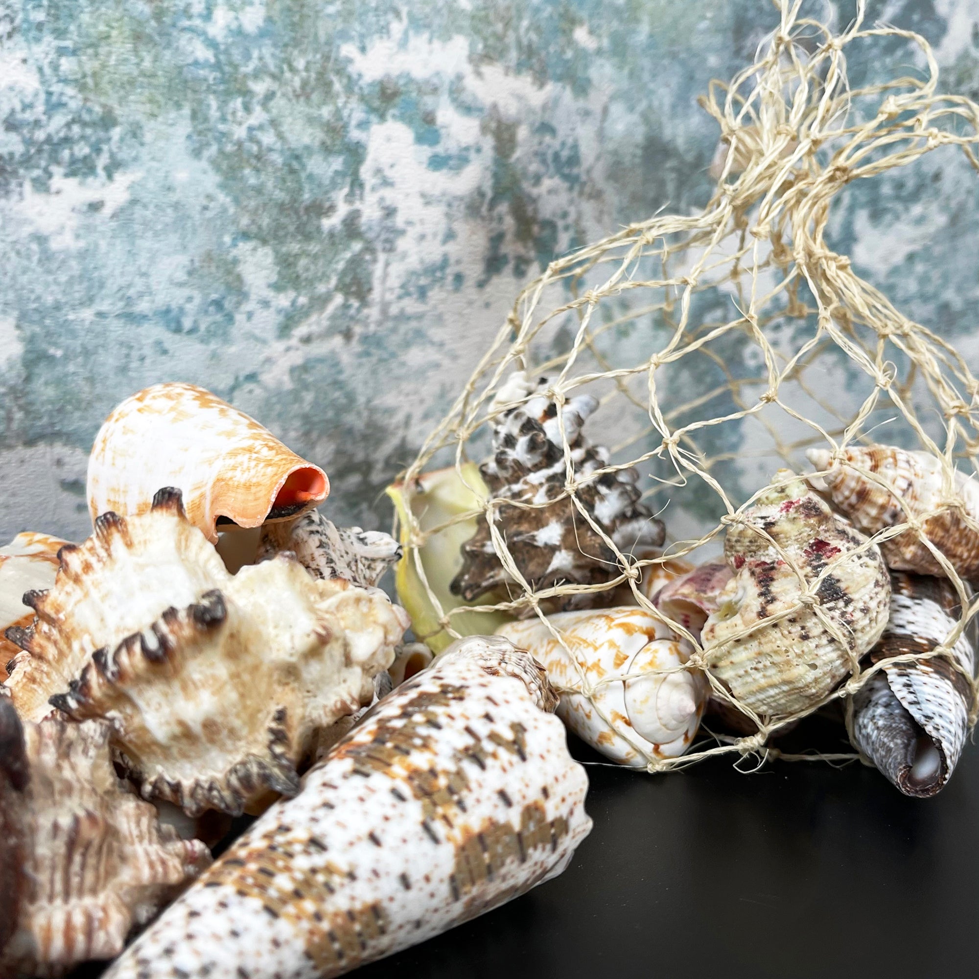 Mixed Natural Sea Shells Fish Net Bag 700g