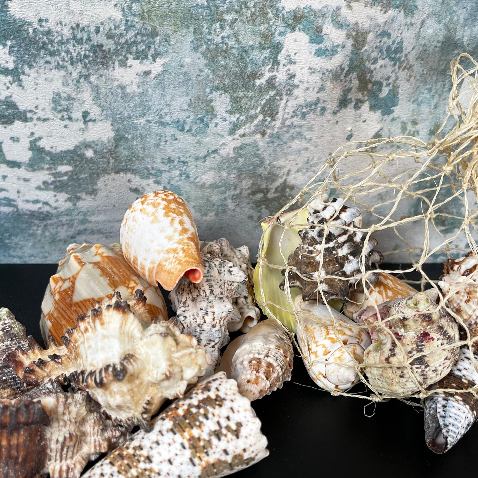 Mixed Natural Sea Shells Fish Net Bag 700g