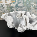 White Resin Cats Paw Coral Sculpture