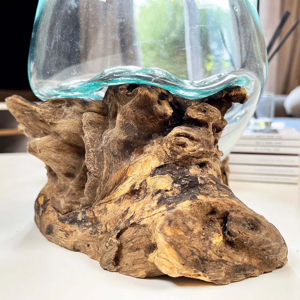 Molten Glass Jar Teak Root Stand With Lid