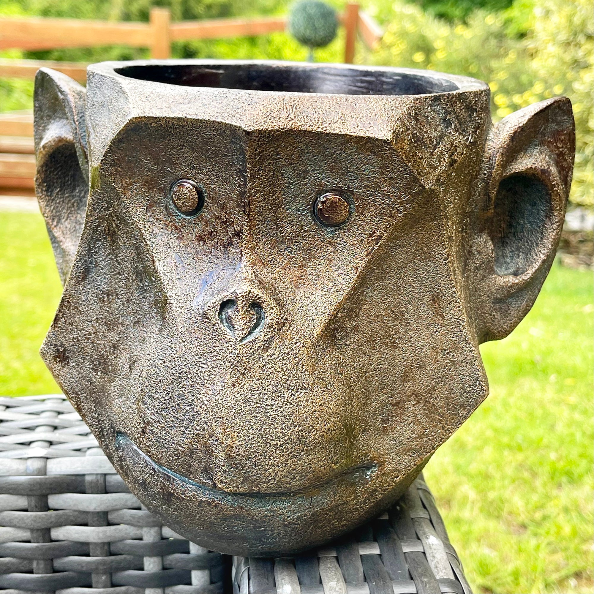 Happy Monkey Head Planter