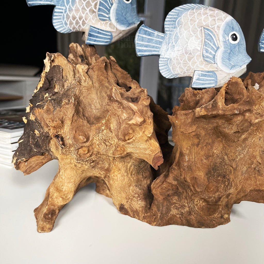 Blue Fish On Teak Root Coral Reef Sculpture