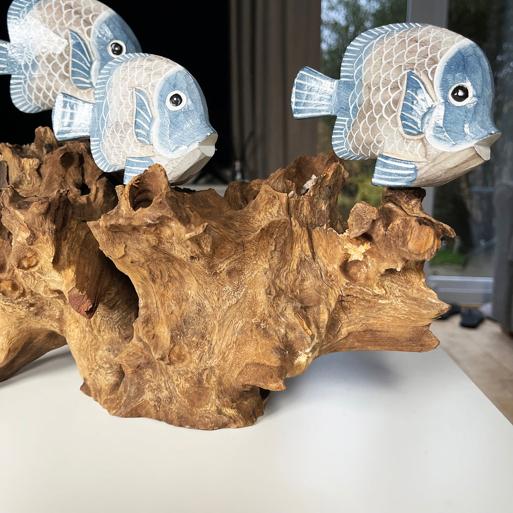 Blue Fish On Teak Root Coral Reef Sculpture