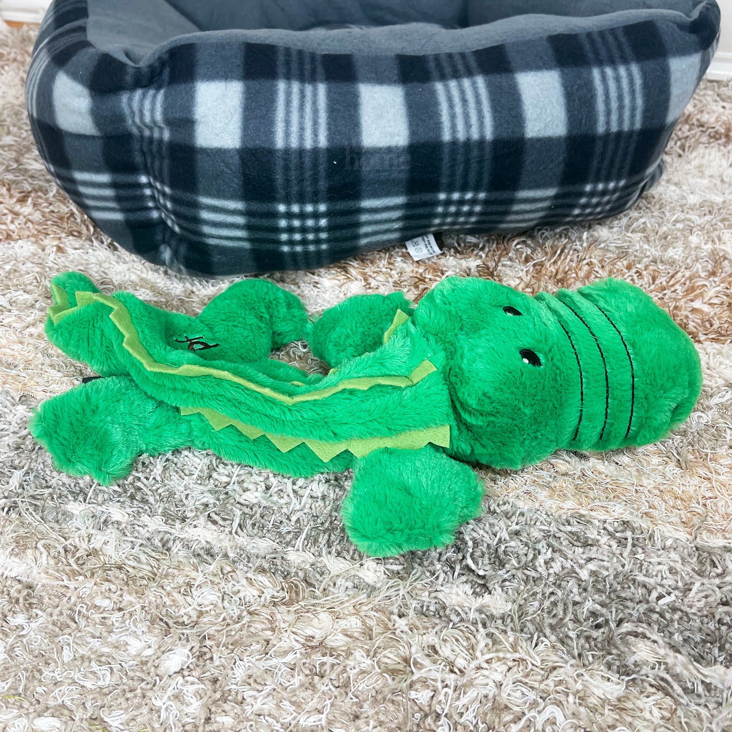 Grünes Krokodil-Öko-Quietschspielzeug für Hunde