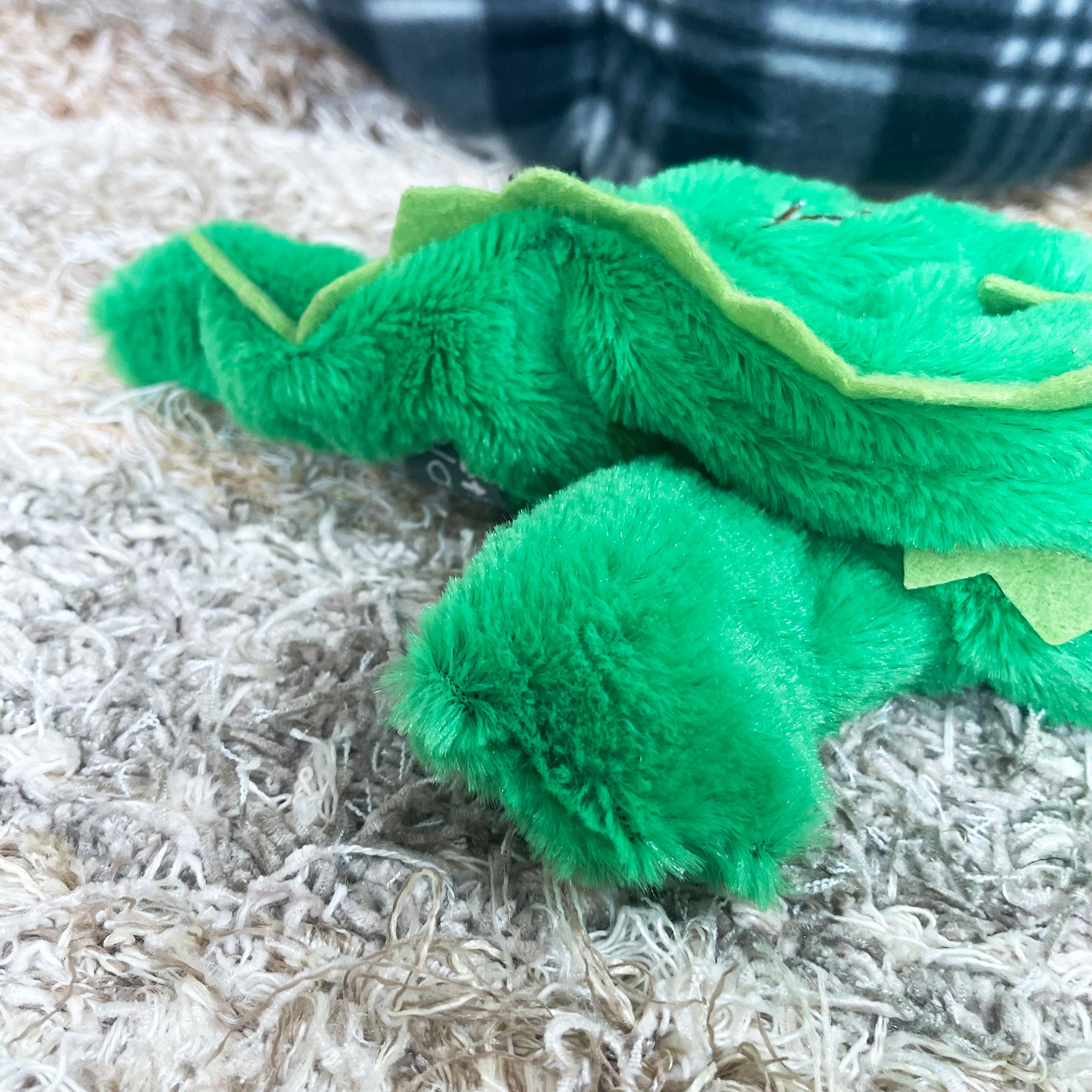 Grünes Krokodil-Öko-Quietschspielzeug für Hunde