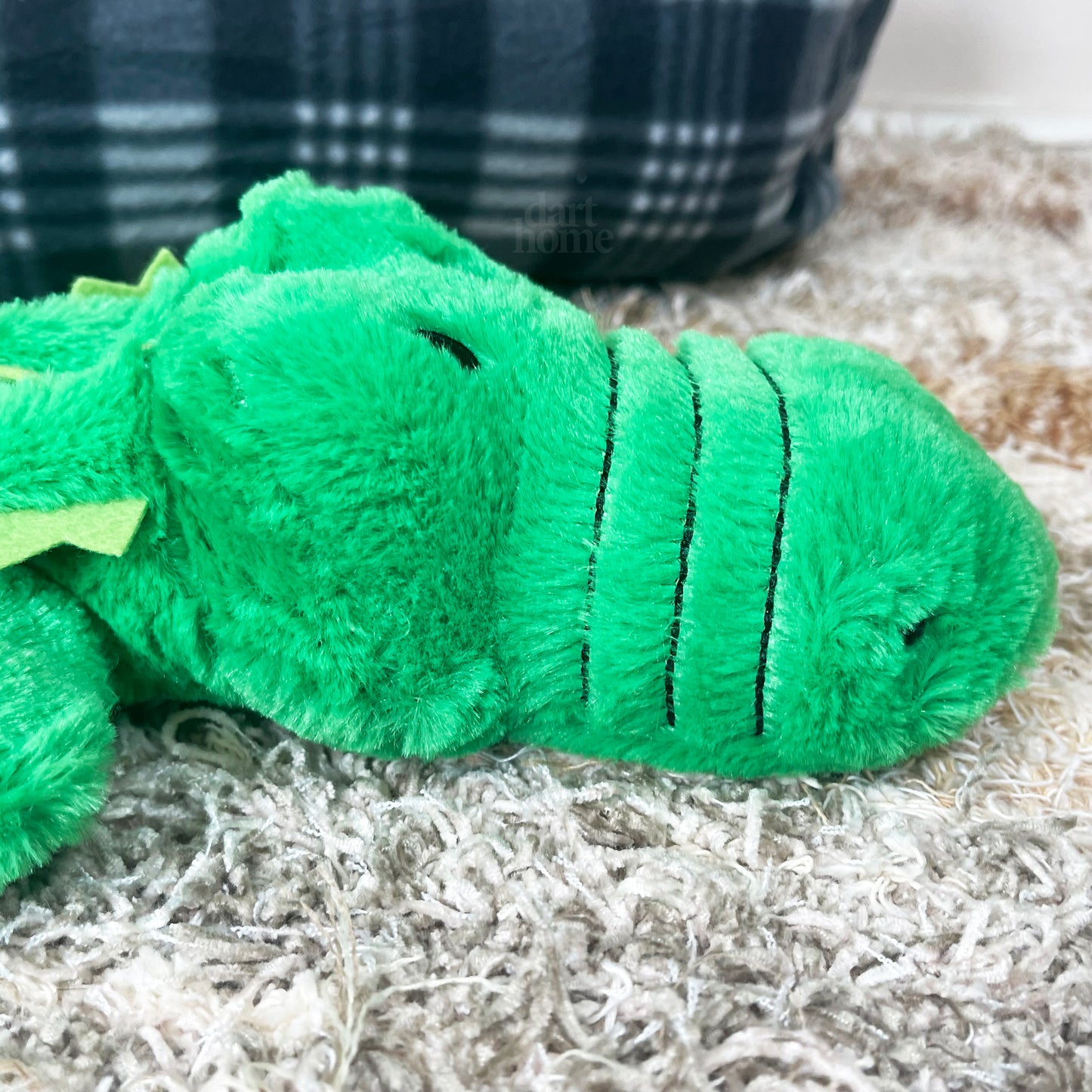 Grünes Krokodil-Öko-Quietschspielzeug für Hunde