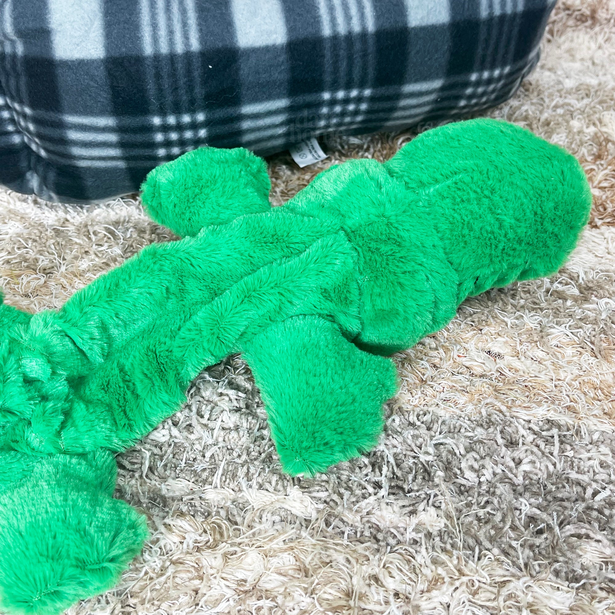 Grünes Krokodil-Öko-Quietschspielzeug für Hunde