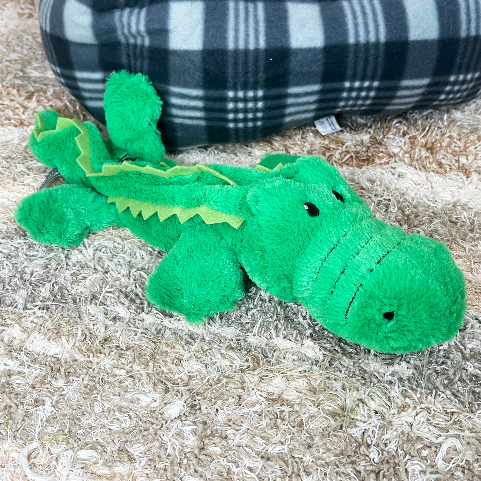 Grünes Krokodil-Öko-Quietschspielzeug für Hunde