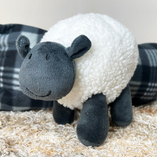 Steve The Sheep Squeaky Dog Toy