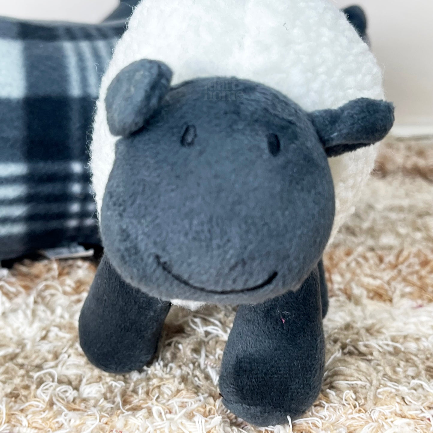 Steve The Sheep Squeaky Dog Toy