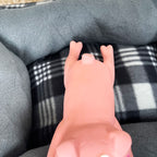 Rosafarbenes, quietschendes Schweinchen-Hundespielzeug