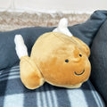 Soft Roast Chicken Squeaky Dog Toy