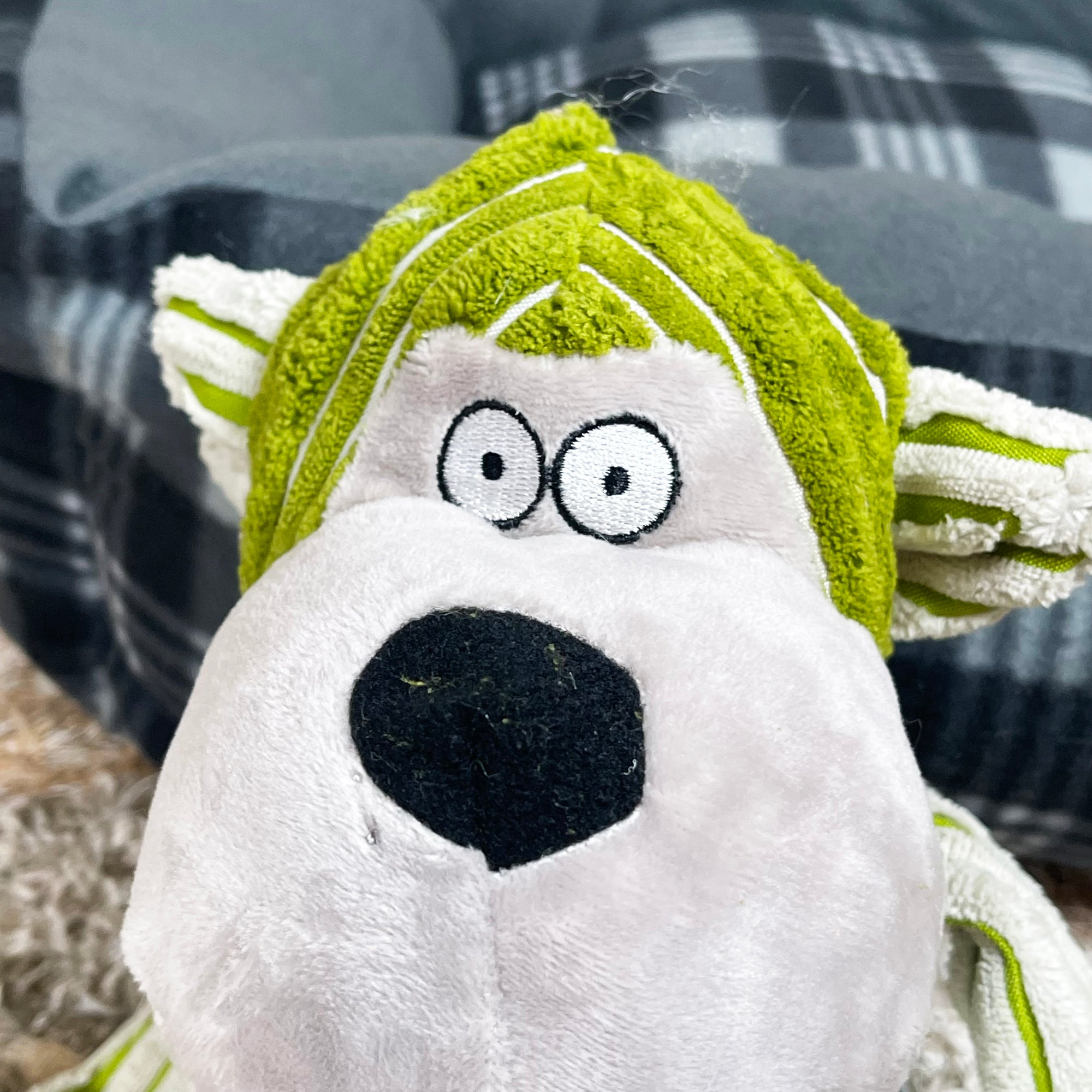 Chubby Chimp Quietschendes Hundespielzeug