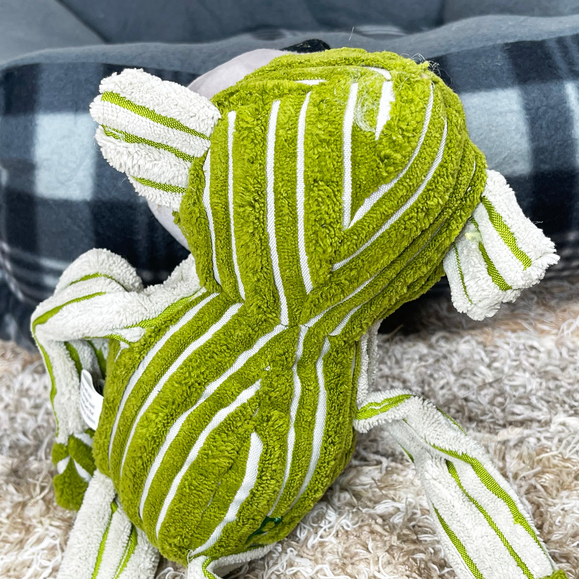 Chubby Chimp Quietschendes Hundespielzeug