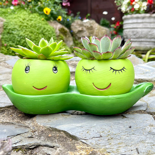 Cement Two Peas In A Pod Succulent Planter