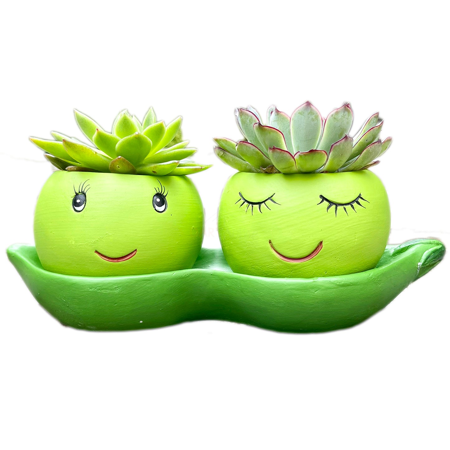 Cement Two Peas In A Pod Succulent Planter