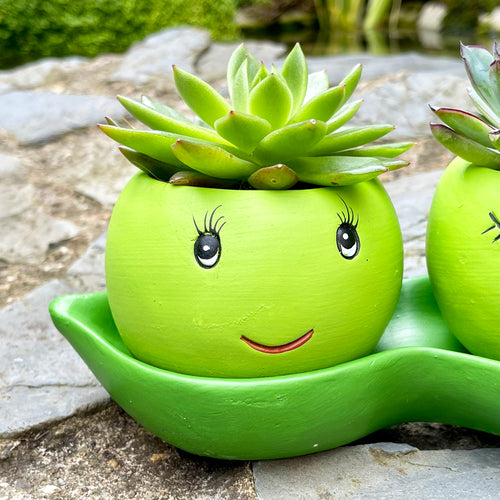 Cement Two Peas In A Pod Succulent Planter