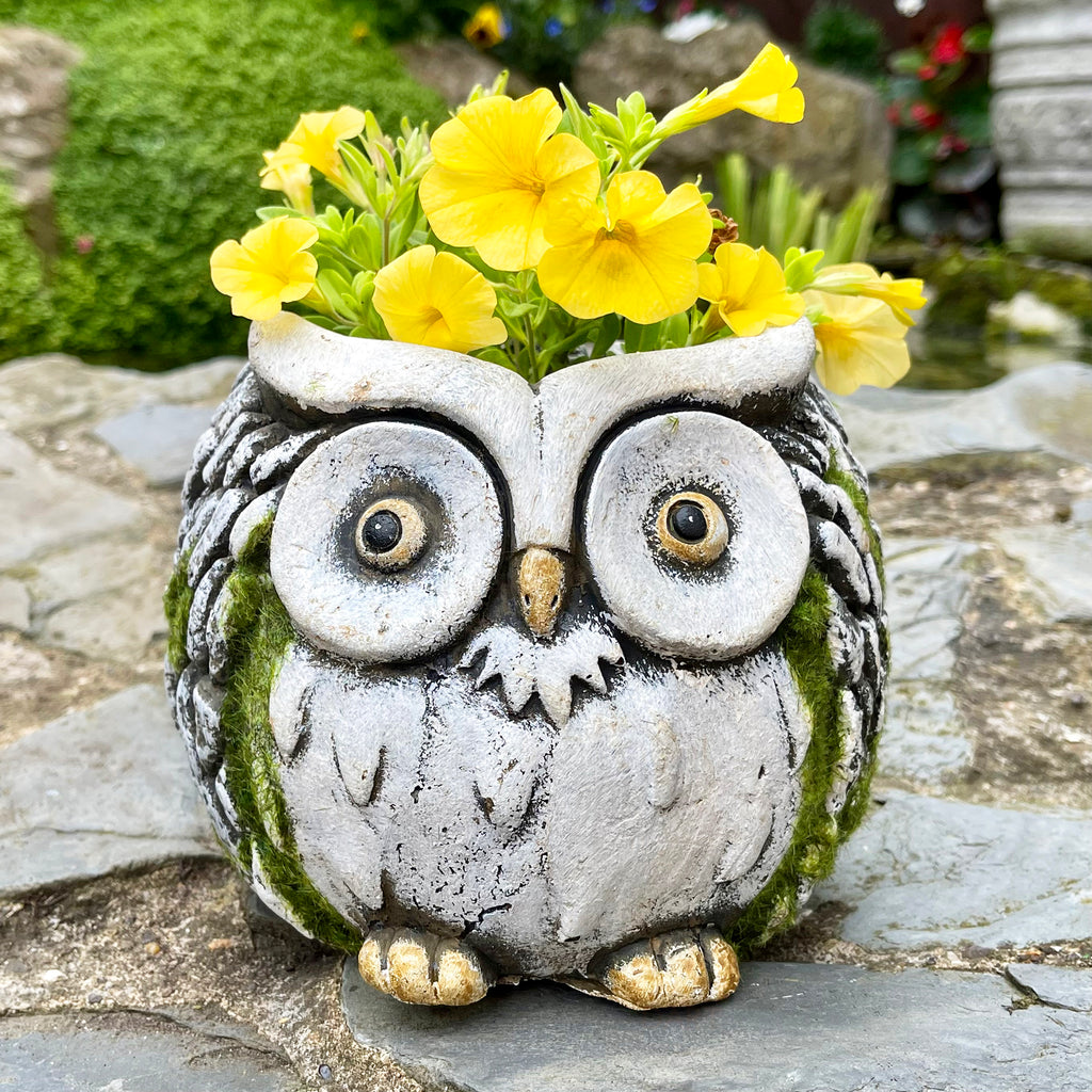 large owl plant pot Darthome Cement Barn Owl Garden Planter 15cm