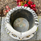 Cement Barn Owl Garden Planter 15cm