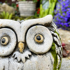 Cement Barn Owl Garden Planter 15cm
