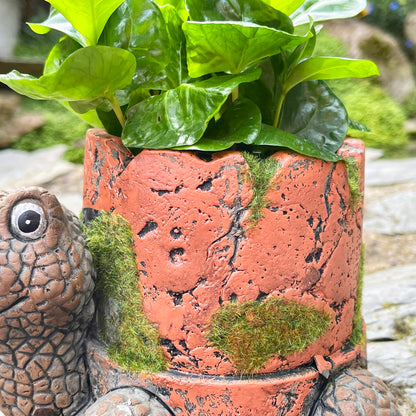 Cement Turtle Planter With Clay Pipe Pot