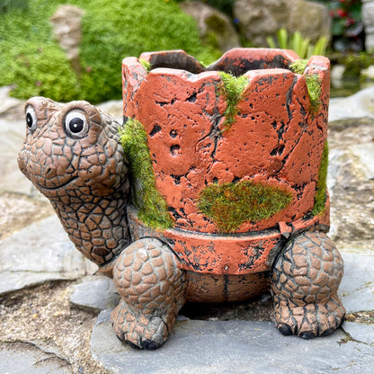 Cement Turtle Planter With Clay Pipe Pot