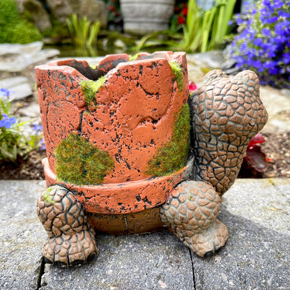 Cement Turtle Planter With Clay Pipe Pot