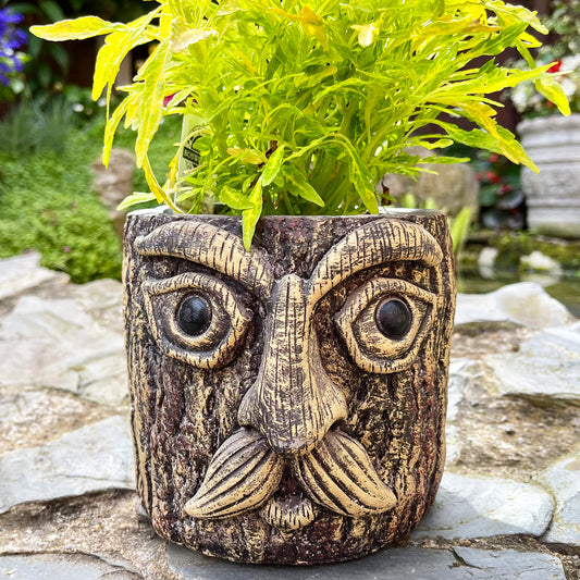 Cement Tree Face Planter