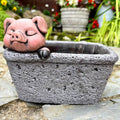 Cement Pig In Trough Planter