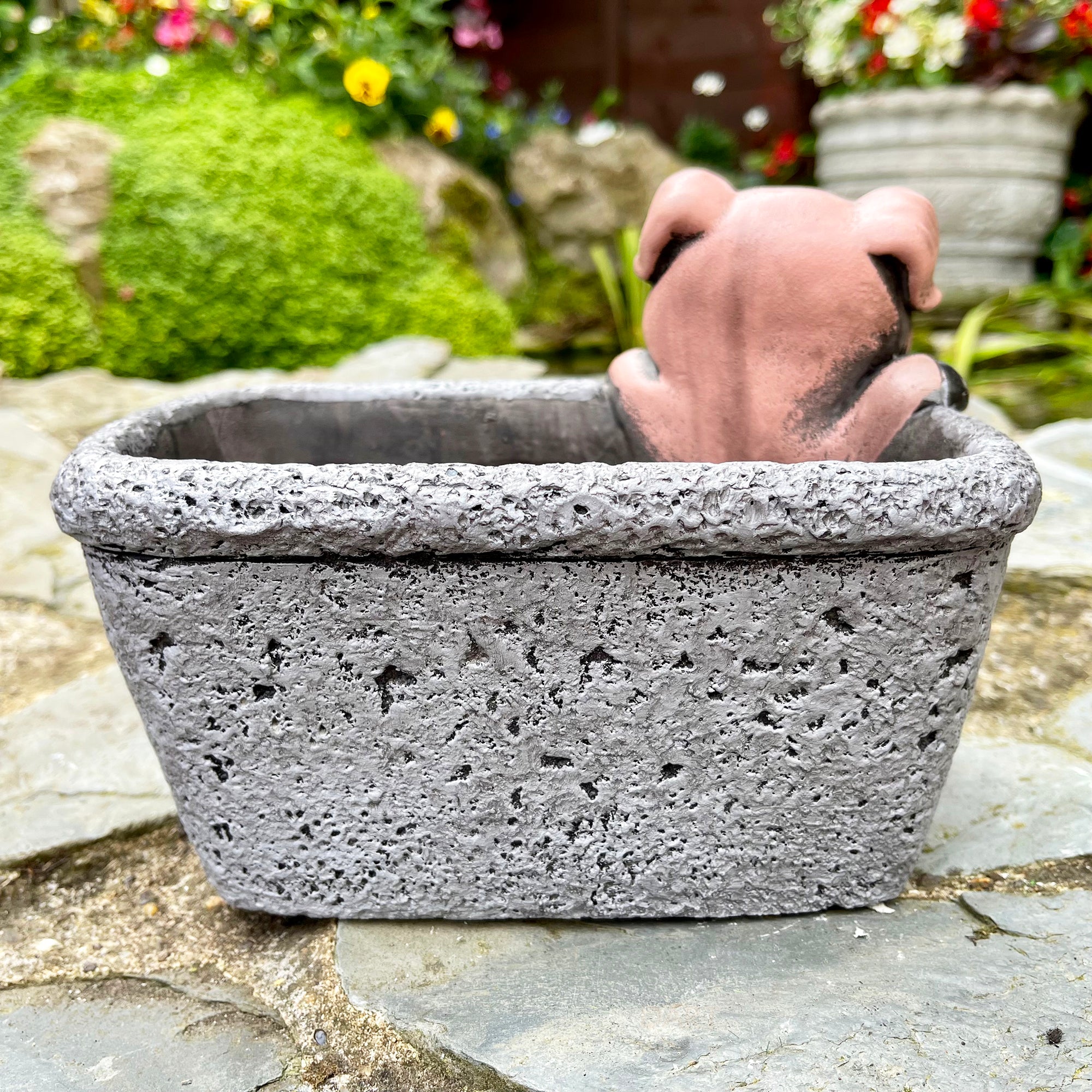 Cement Pig In Trough Planter