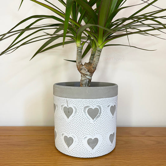 White & Grey Cement Spotted Love Hearts Plant Pot 13cm