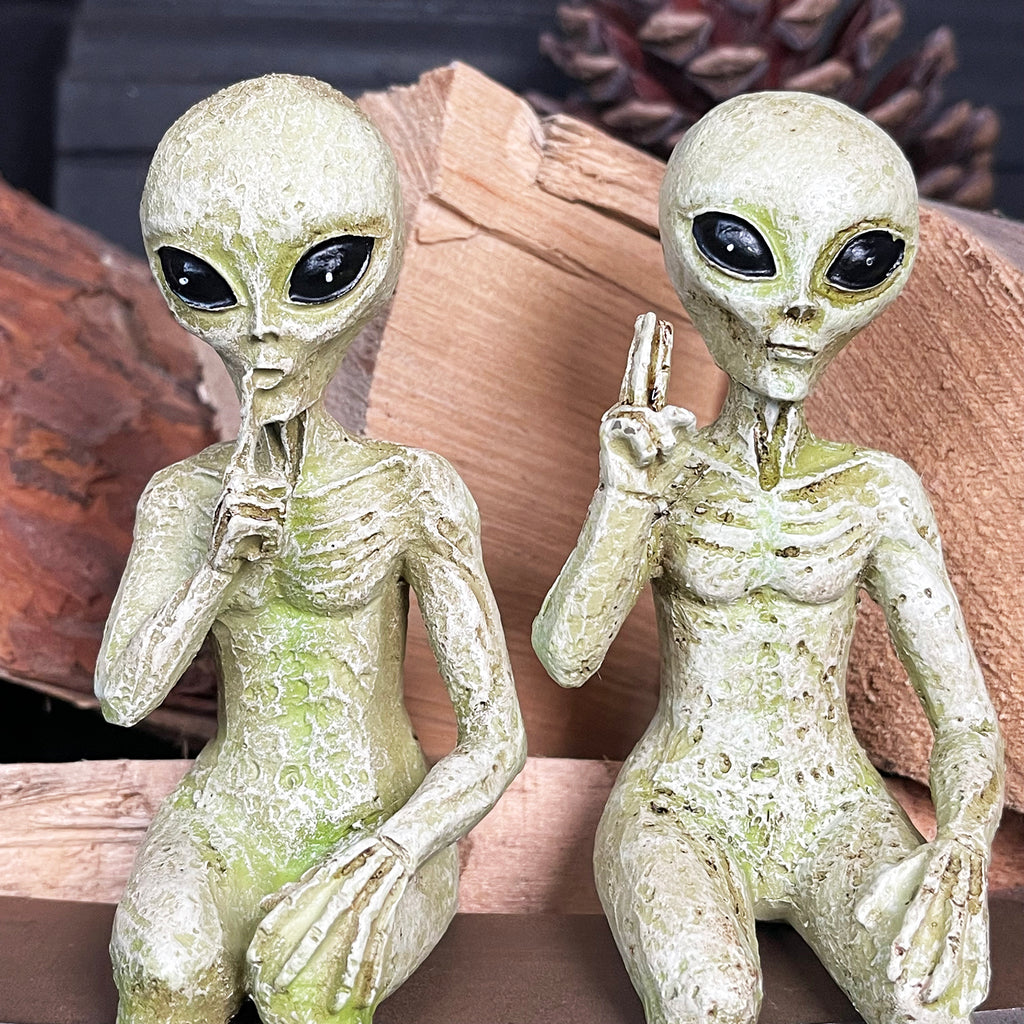 Set Of 2 Alien Shelf Sitter Decorations