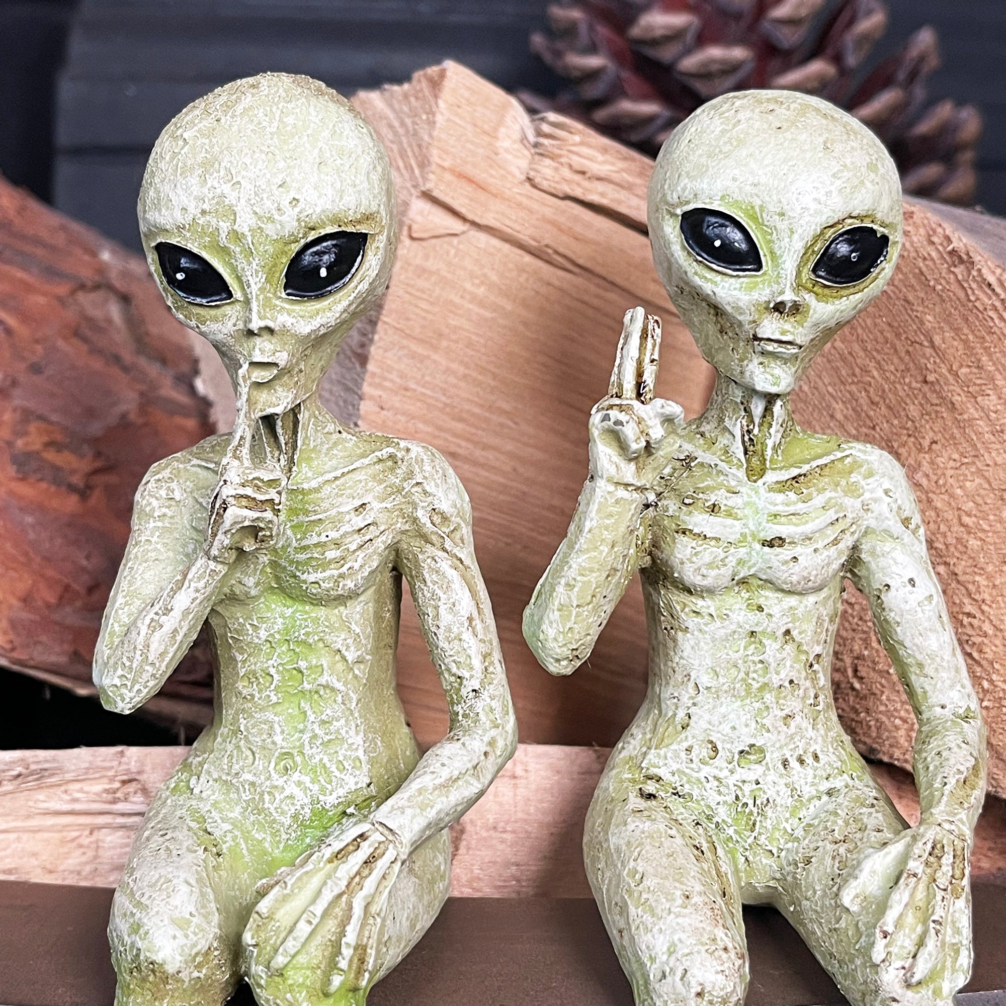 Set Of 2 Alien Shelf Sitter Decorations