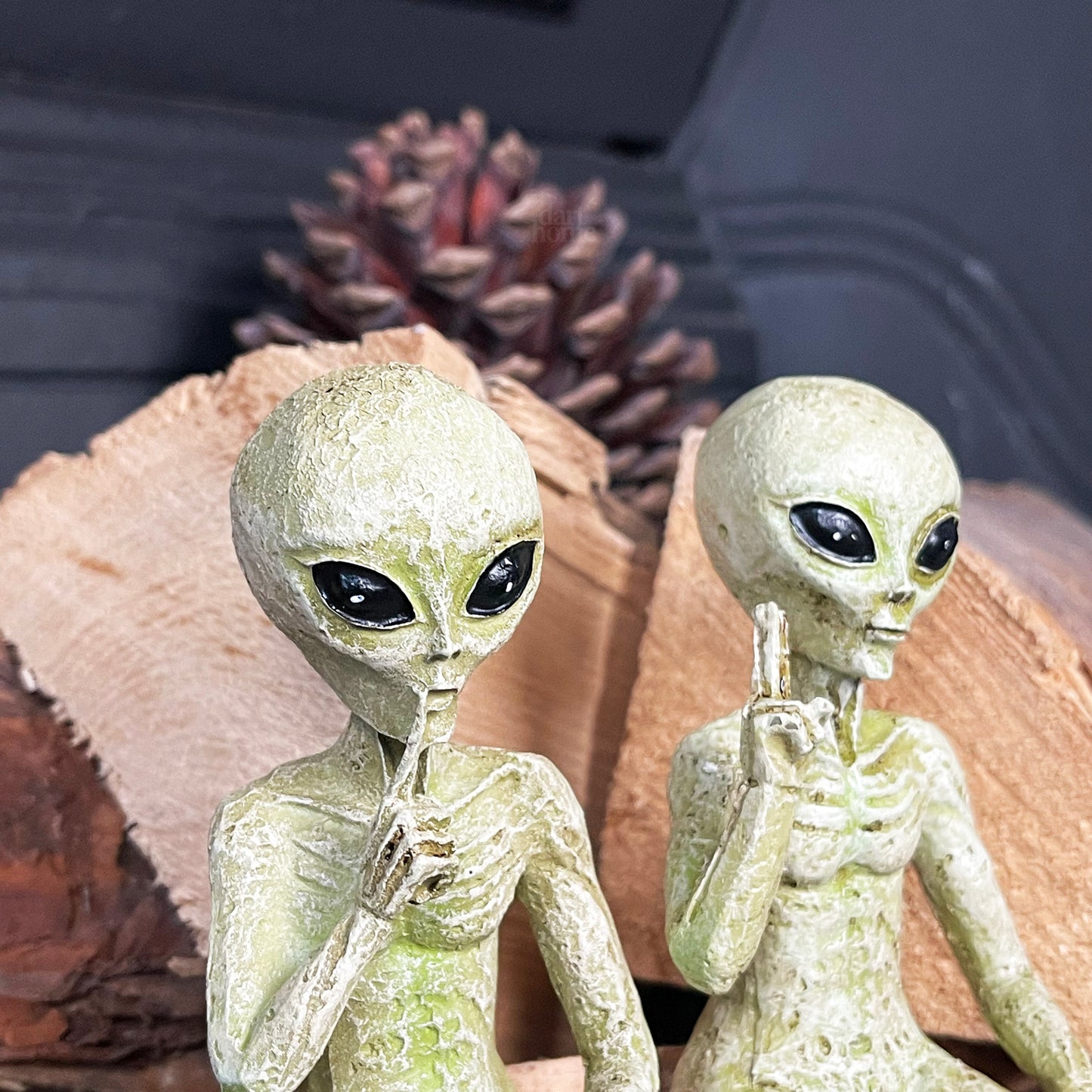 Set mit 2 Alien-Regaldekorationen