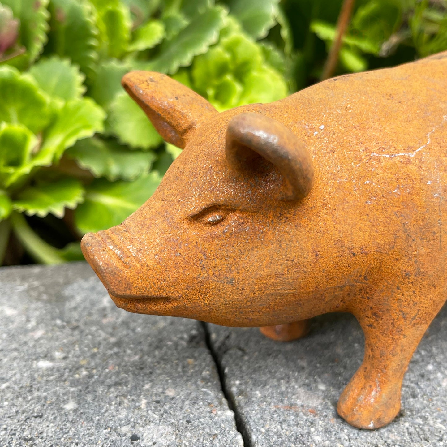 Rostige Gartenstatue Schwein aus Gusseisen, 16 cm