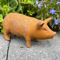 Rust Cast Iron Pig Garden Statue 16cm
