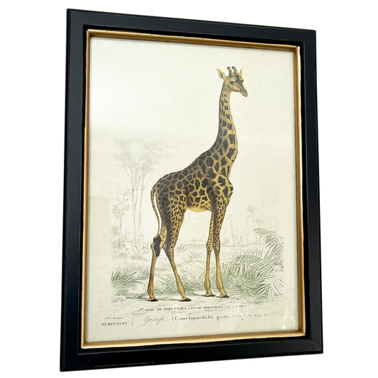 Vintage Giraffe gerahmte Wandkunst
