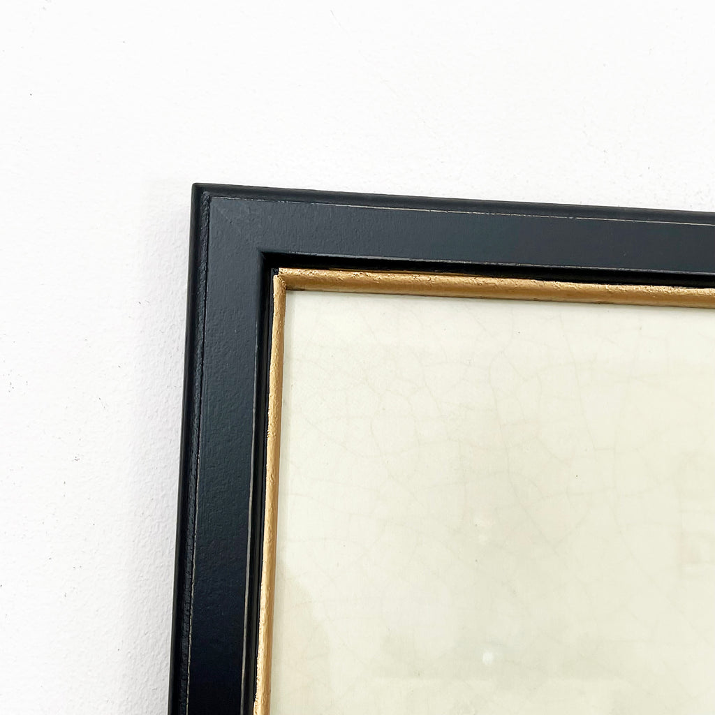 Vintage Giraffe Framed Wall Art
