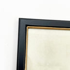 Vintage Giraffe Framed Wall Art
