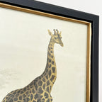Vintage Giraffe Framed Wall Art