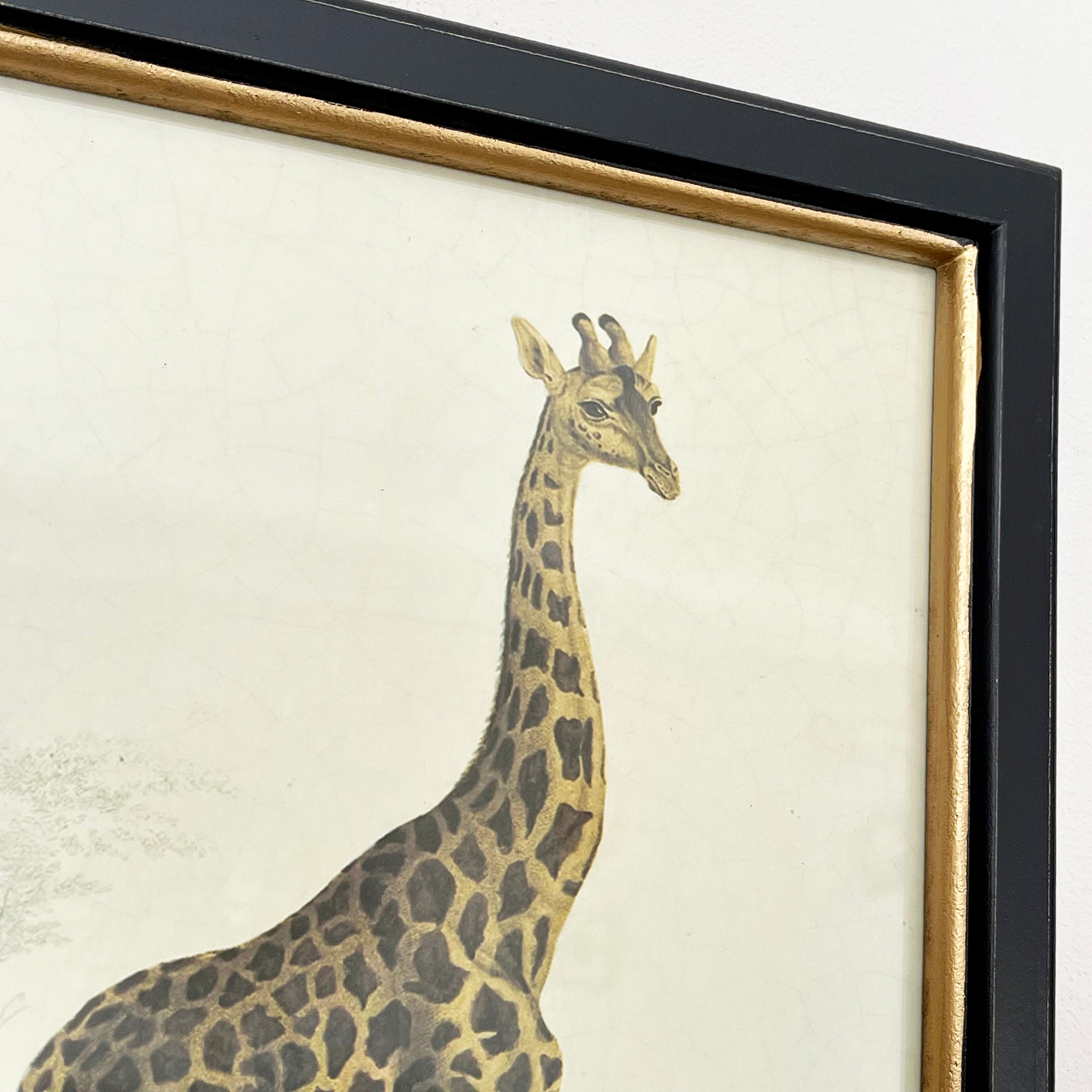 Vintage Giraffe Framed Wall Art
