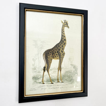 Vintage Giraffe Framed Wall Art