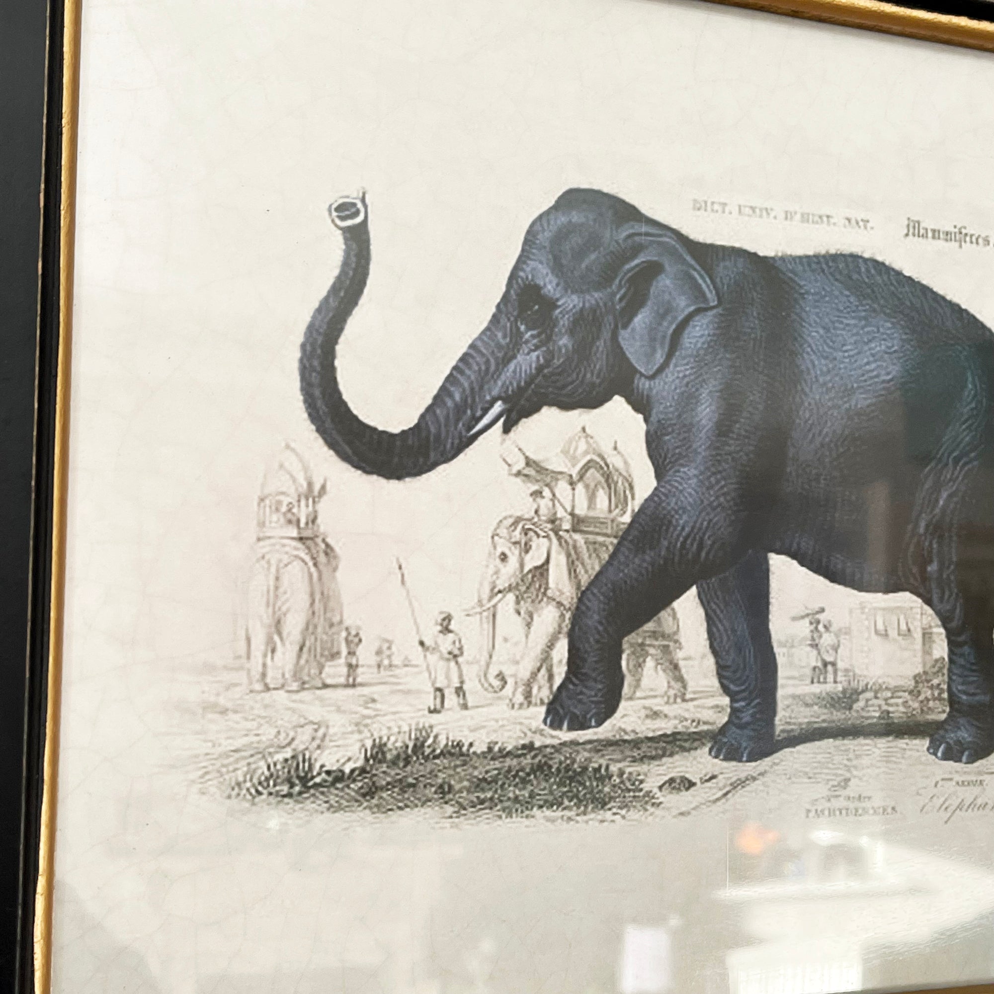 Vintage Elephant Framed Wall Art