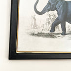 Vintage Elephant Framed Wall Art