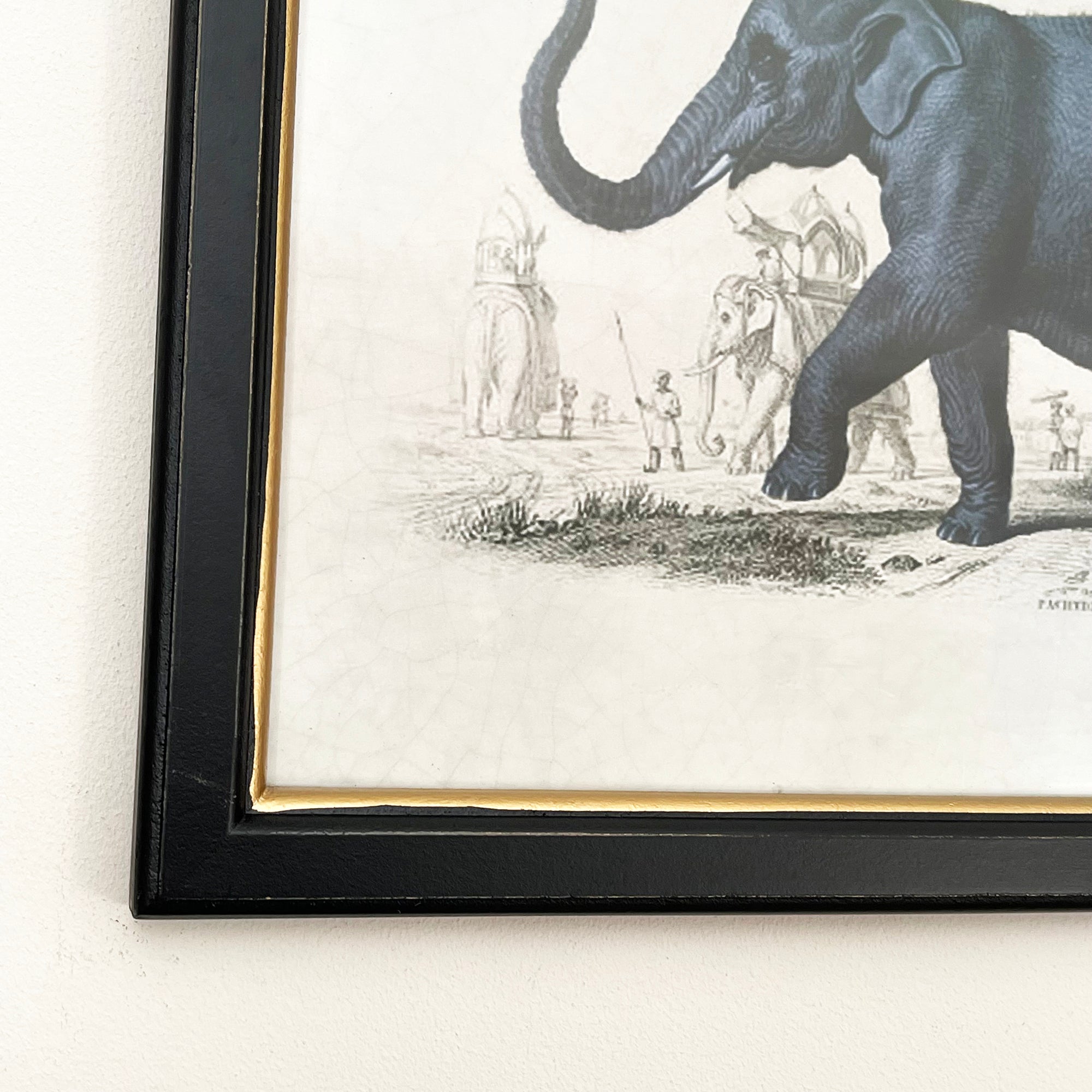 Vintage Elephant Framed Wall Art