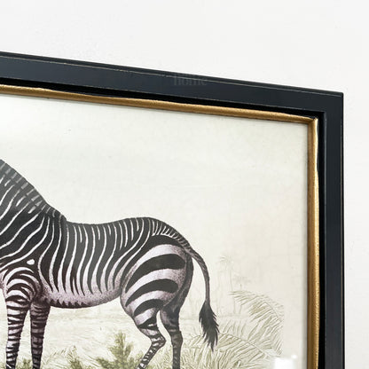 Vintage Zebra Framed Wall Art