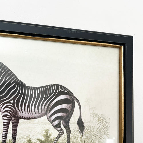 Vintage Zebra gerahmte Wandkunst