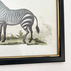 Vintage Zebra gerahmte Wandkunst