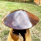 Teak Root Mushroom Garden Sculpture
