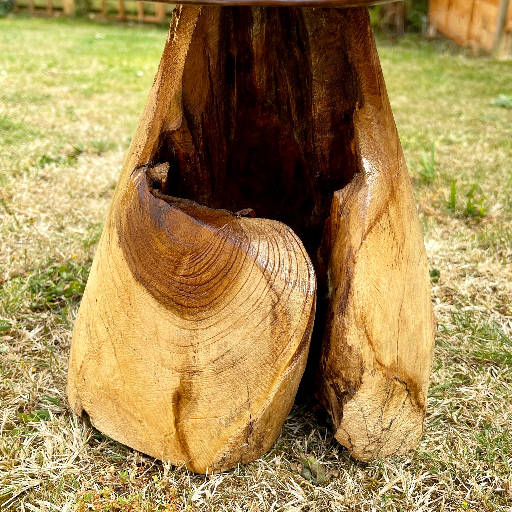 Teak Root Mushroom Garden Sculpture